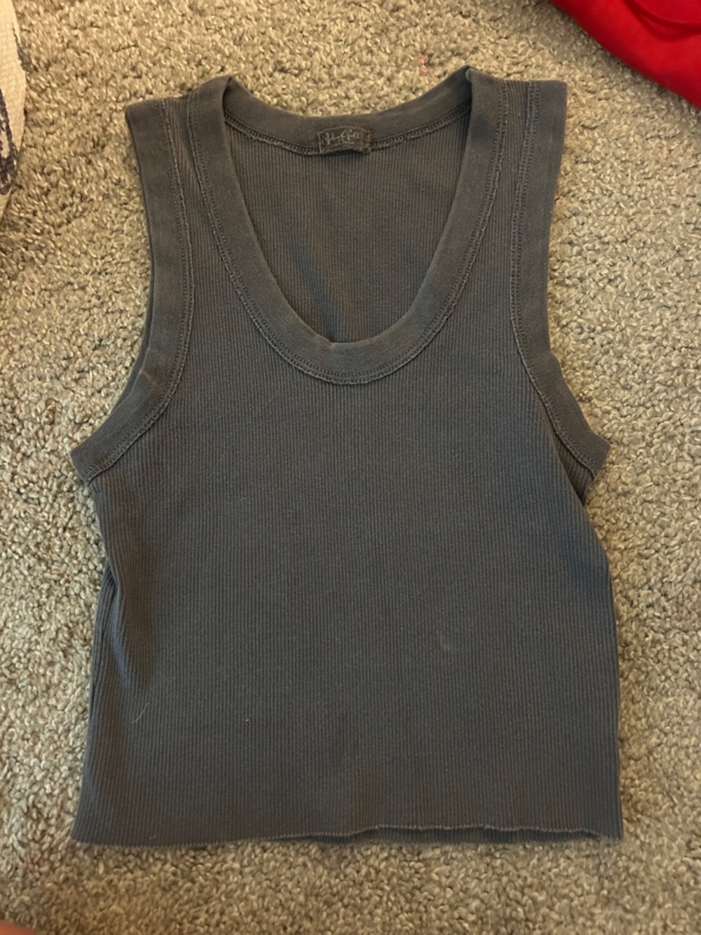 Brandy Melville John Galt Tank top blue grey crop top